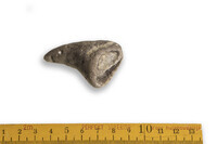 F 08873 01
<br/>
<br/>
<em></em>